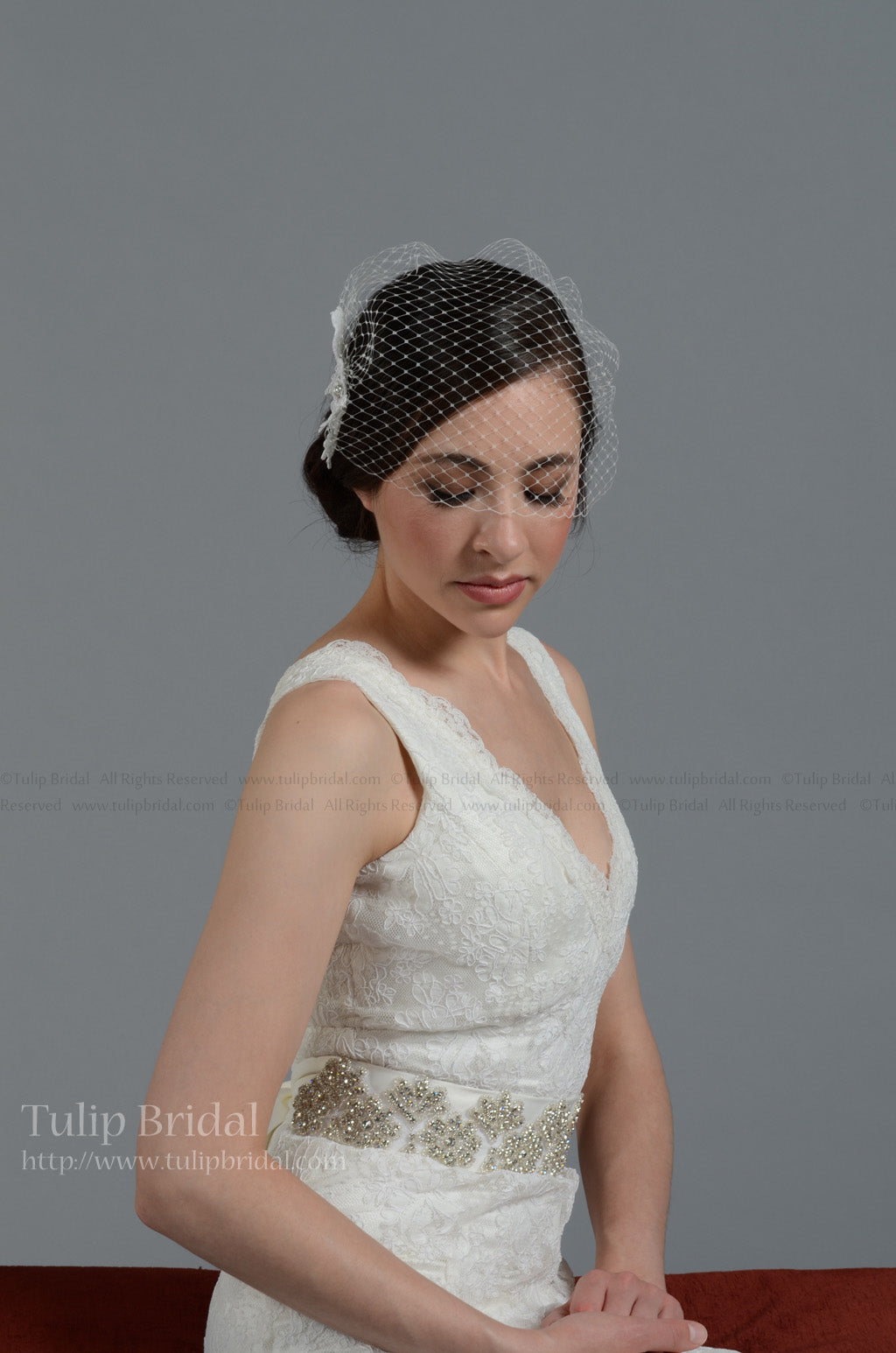 Ivory blusher birdcage veil with alencon lace BVF009n