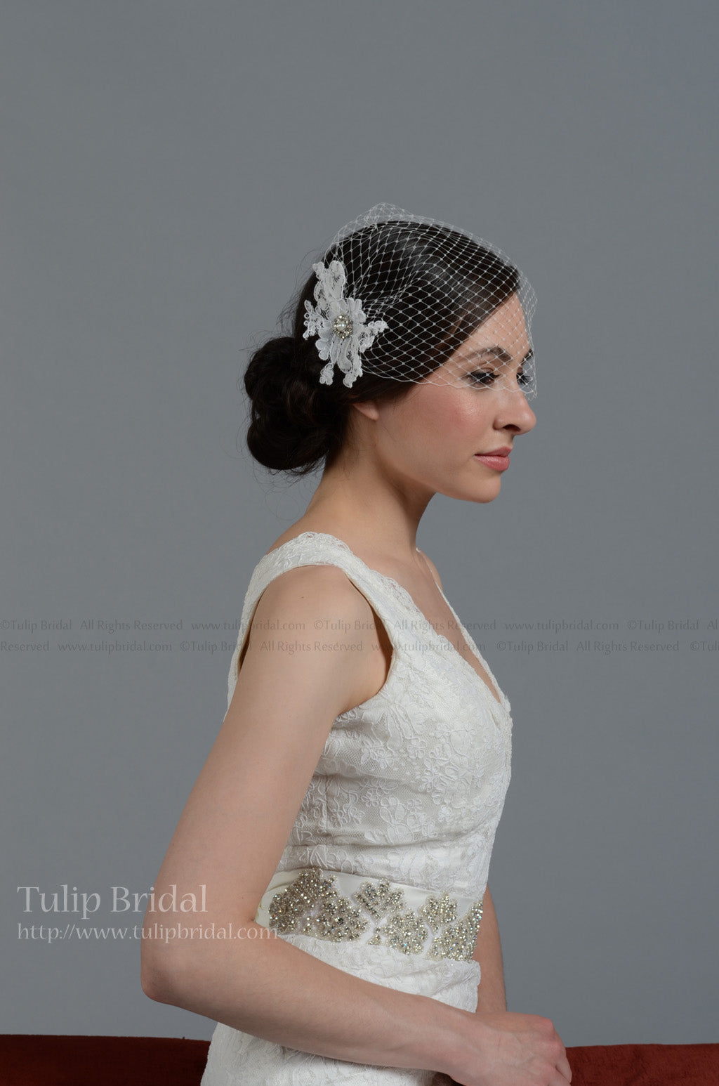 Ivory blusher birdcage veil with alencon lace BVF009n