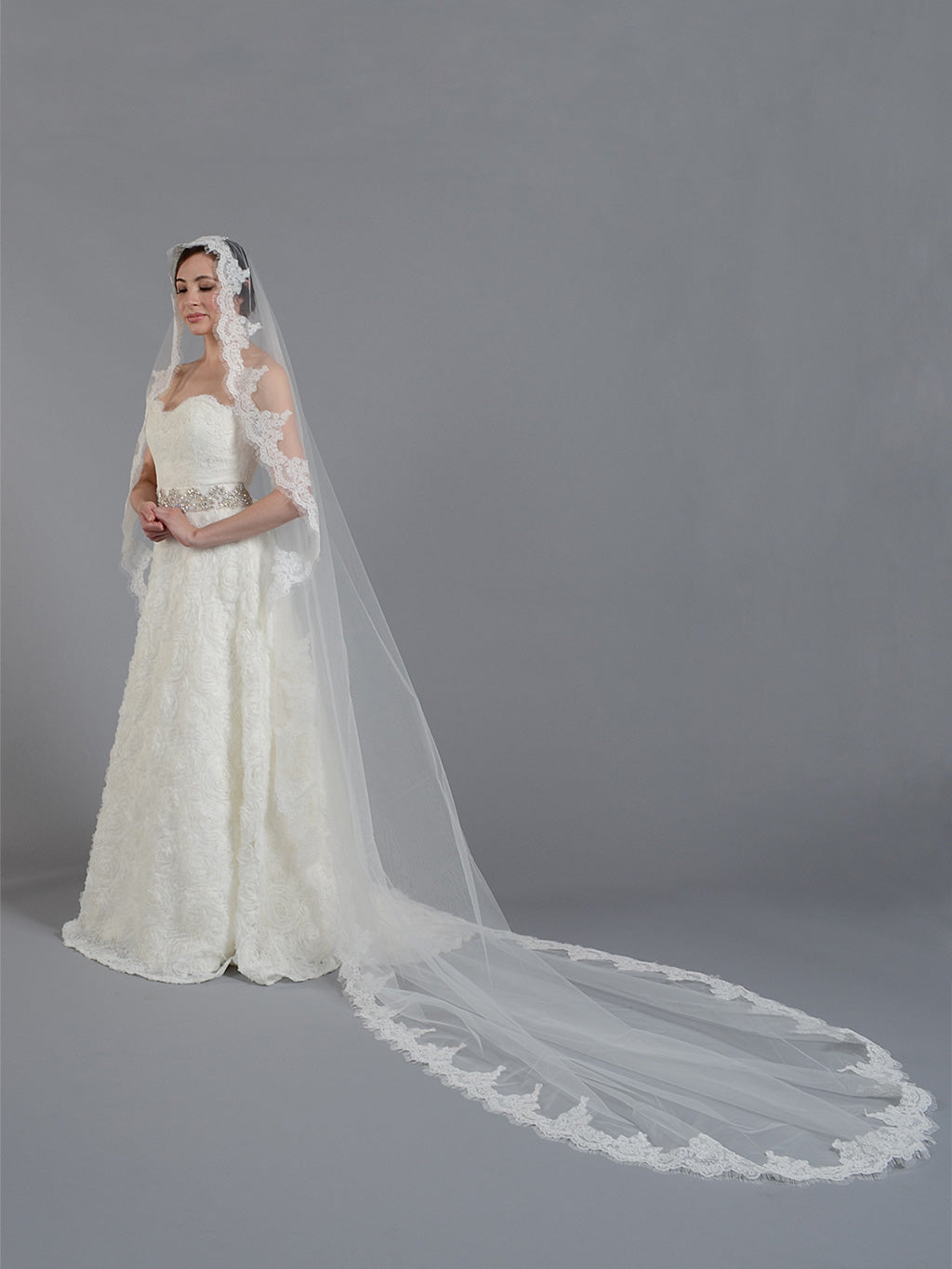 lace wedding dress and veil