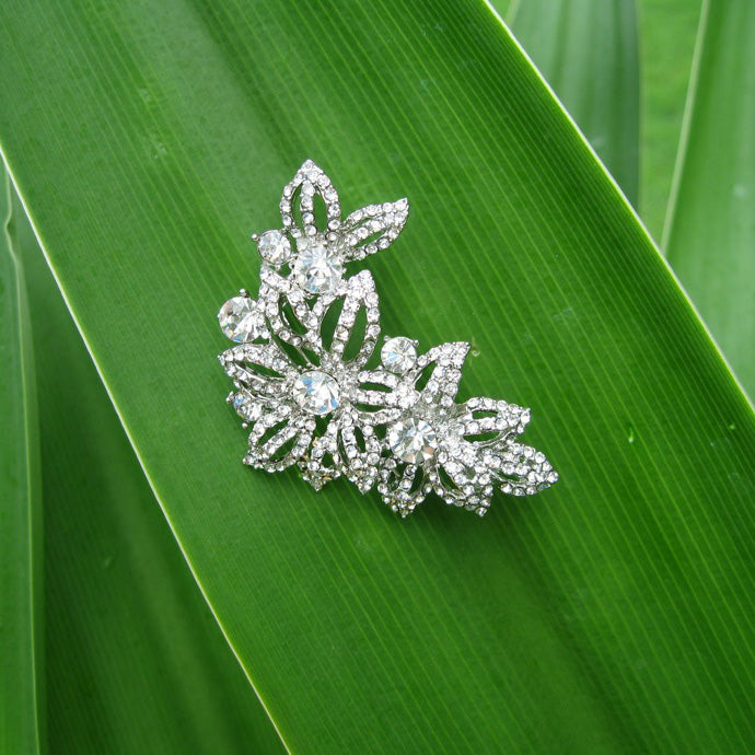 Sparkling Rhinestone Brooches RBR004