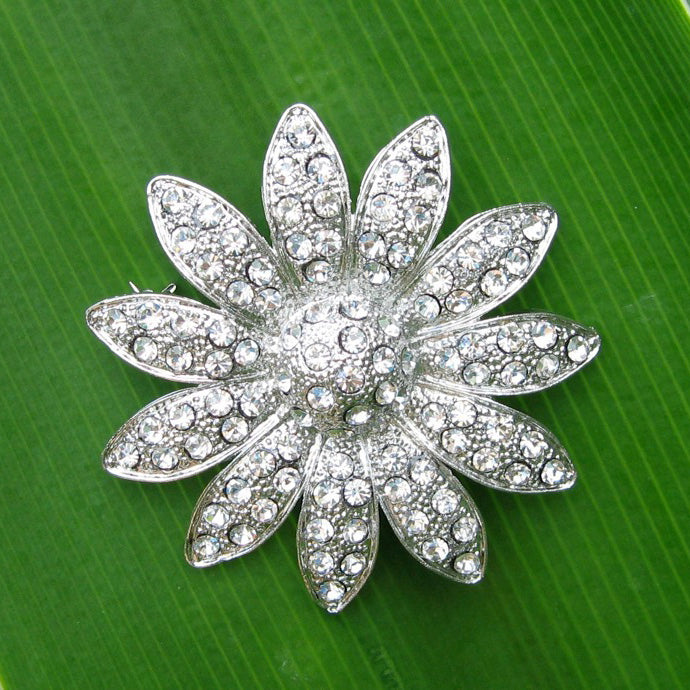 Sparkling Rhinestone Brooches RBR005