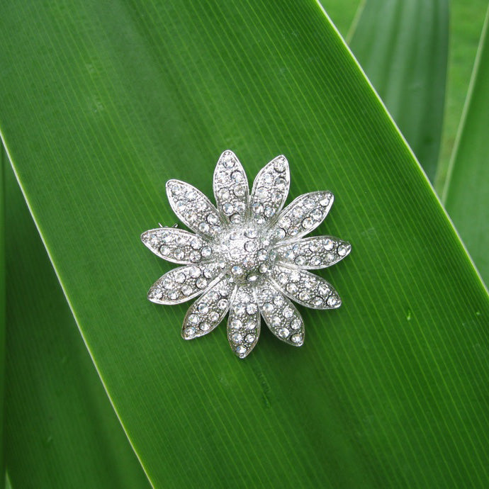 Sparkling Rhinestone Brooches RBR005